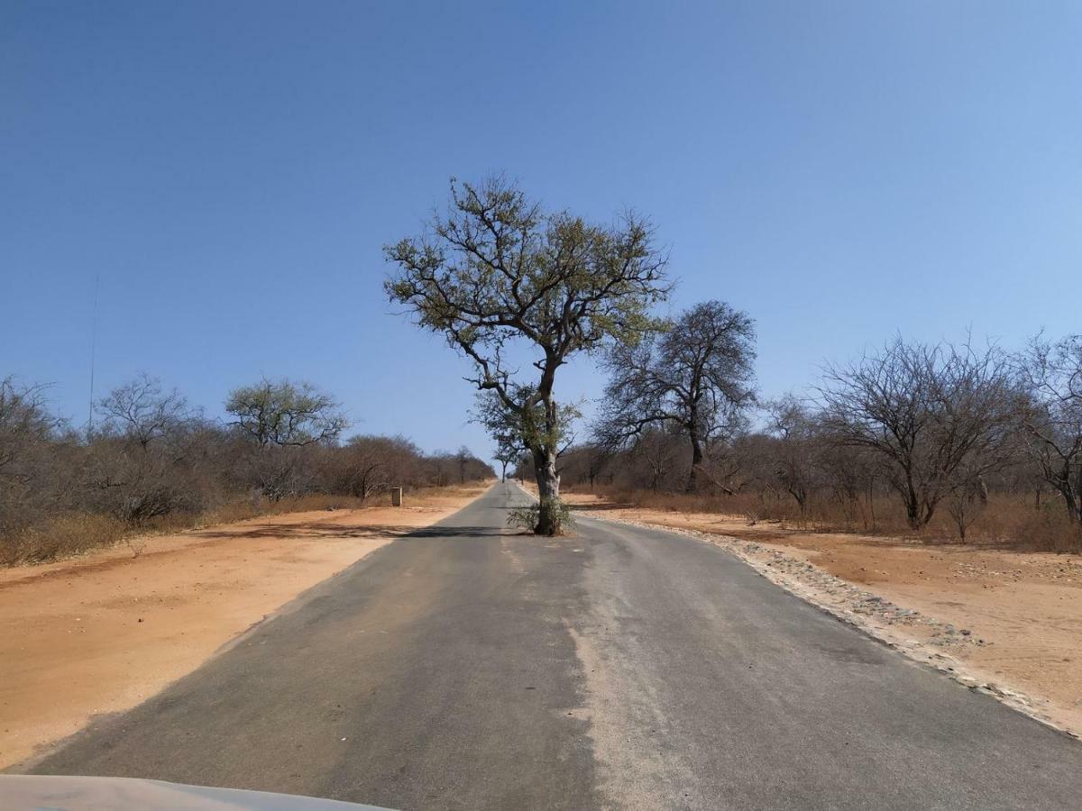 Ukuthula Bush Lodge 侯斯普瑞特 外观 照片